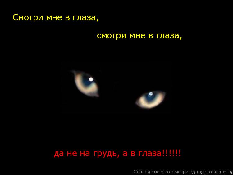 Смотри мне в глаза, смотри мне в глаза, да не на грудь, а в глаза!!!!!!... Котоматрица: Смотри мне в глаза, смотри мне в глаза, да не на грудь, а в глаза!!!!!!
