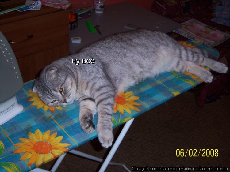 Котоматрица: ну всё