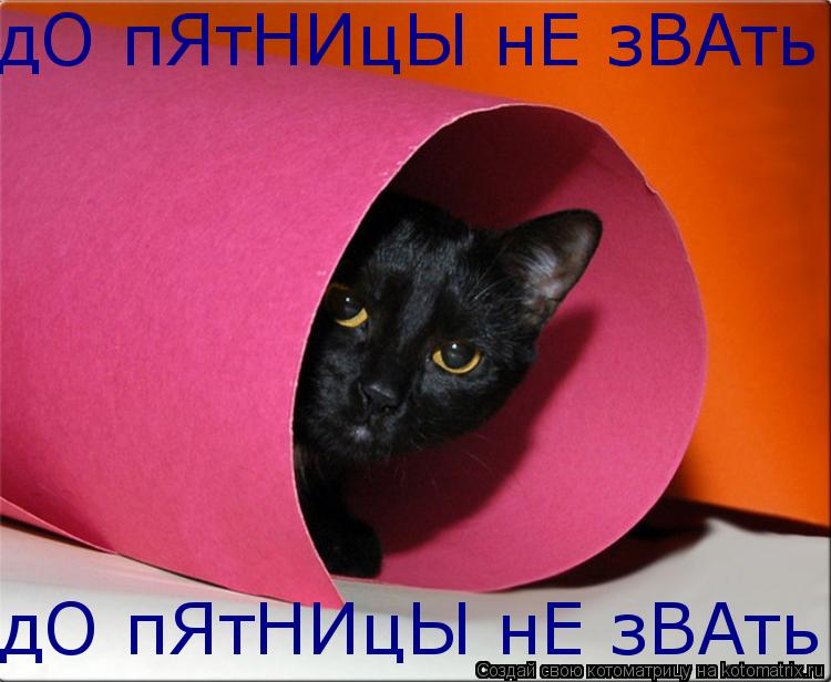 дО пЯтНИцЫ нЕ зВАть дО пЯтНИцЫ нЕ зВАть... Котоматрица: дО пЯтНИцЫ нЕ зВАть дО пЯтНИцЫ нЕ зВАть
