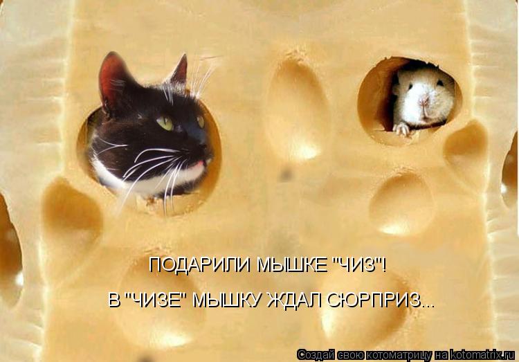 Котоматрица: ПОДАРИЛИ МЫШКЕ "ЧИЗ"! В "ЧИЗЕ" МЫШКУ ЖДАЛ СЮРПРИЗ...