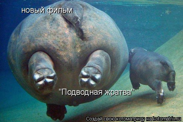 новый фильм "Подводная жратва"... Котоматрица: новый фильм "Подводная жратва"