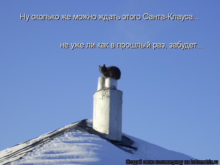Котоматрица: Ну сколько же можно ждать этого Санта-Клауса... не уже ли как в прошлый раз, забудет....
