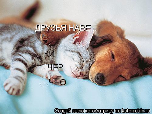 ДРУЗЬЯ НАВЕ... ..КИ ....ЧЕР ....ЧНО... Котоматрица: ДРУЗЬЯ НАВЕ... ..КИ ....ЧЕР ....ЧНО