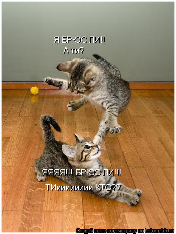 Котоматрица: Я БРЮС ЛИ!! А ти? ЯЯЯЯ!!! БРЮС ЛИ!!!   ТИииииииии КТО??