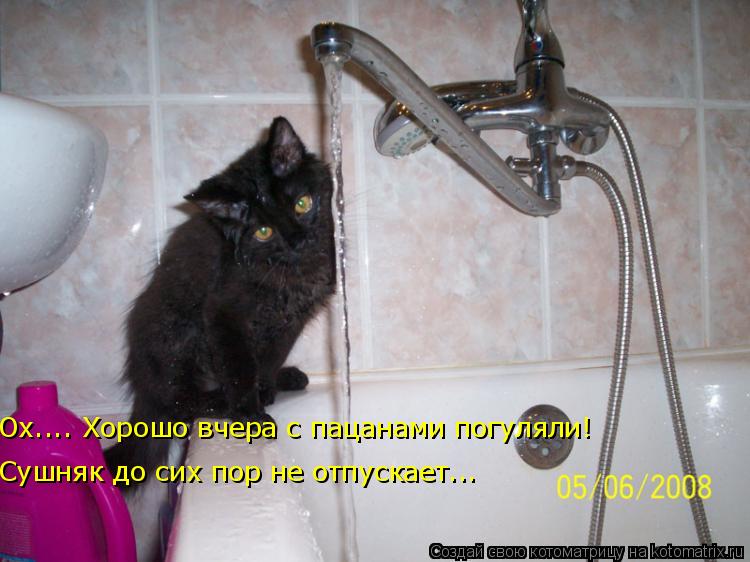 Ох.... Хорошо вчера с пацанами погуляли! Сушняк до сих пор не отпускает...... Котоматрица: Ох.... Хорошо вчера с пацанами погуляли! Сушняк до сих пор не отпускает...