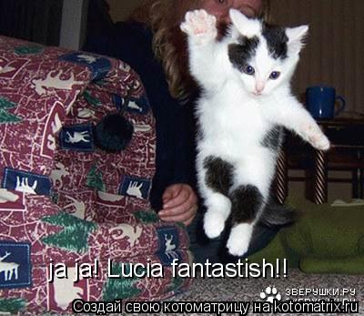 ja ja! Lucia fantastish!!... Котоматрица: ja ja! Lucia fantastish!!