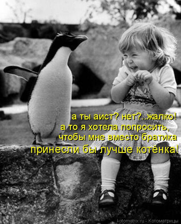 а ты аист? нет?..жалко! а то я хотела попросить, чтобы мне вместо братика принесли бы лучше котёнка... Котоматрица: а ты аист? нет?..жалко! а то я хотела попросить, чтобы мне вместо братика принесли бы лучше котёнка!