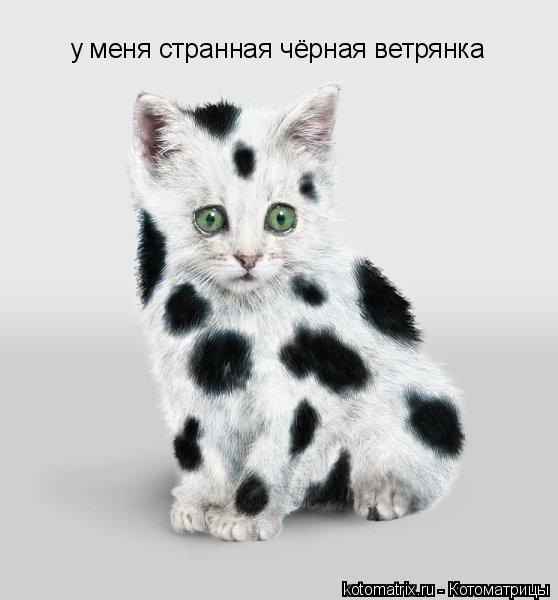 у меня странная чёрная ветрянка... Котоматрица: у меня странная чёрная ветрянка