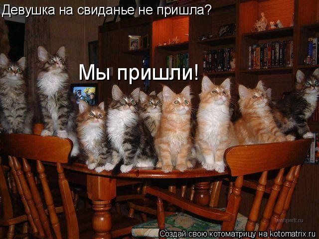Девушка на свиданье не пришла? Мы пришли!... Котоматрица: Девушка на свиданье не пришла? Мы пришли!