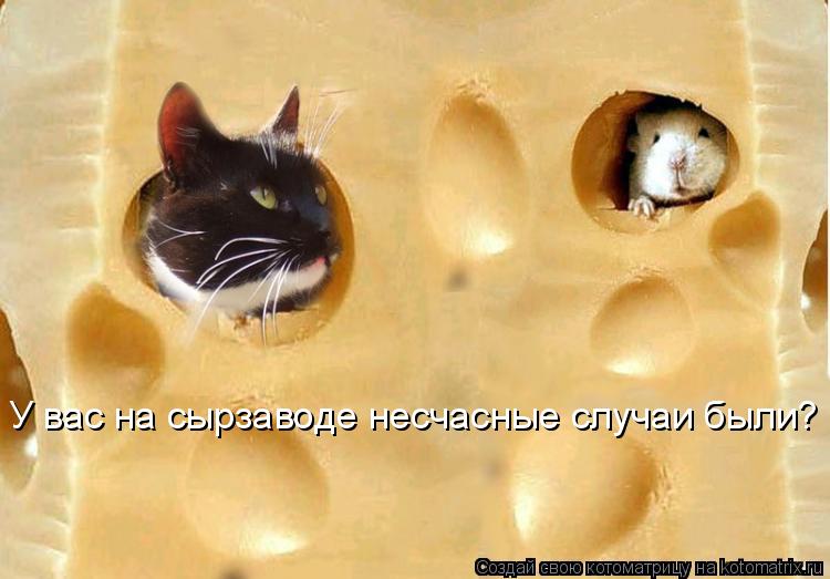 У вас на сырзаводе несчасные случаи были?... Котоматрица: У вас на сырзаводе несчасные случаи были?