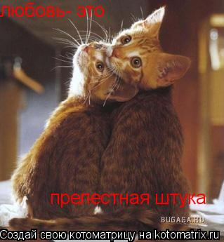 любовь- это любовь- это прелестная штука... Котоматрица: любовь- это любовь- это прелестная штука