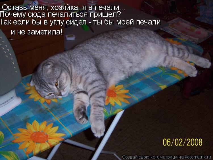Оставь меня, хозяйка, я в печали... Почему сюда печалиться пришёл? Так если бы в углу сидел - ты бы м... Котоматрица: Оставь меня, хозяйка, я в печали... Почему сюда печалиться пришёл? Так если бы в углу сидел - ты бы моей печали и не заметила!