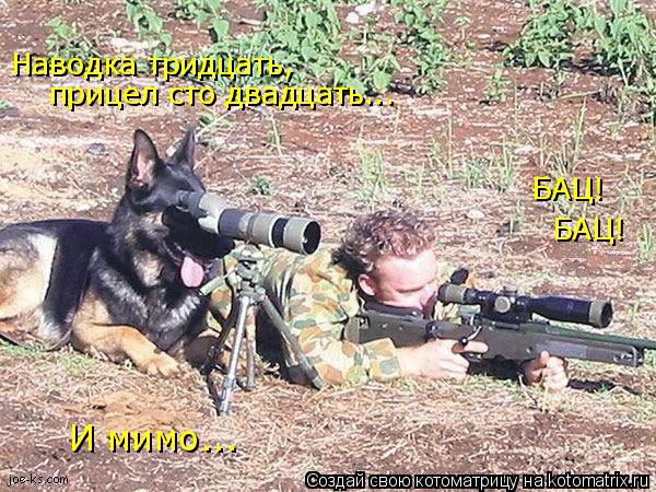 Котоматрица: БАЦ! БАЦ! Наводка тридцать,  прицел сто двадцать... И мимо...
