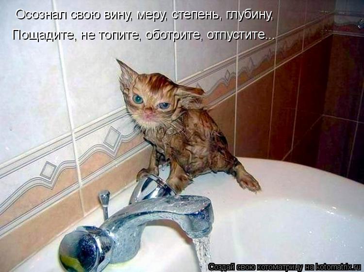 Осознал свою вину, меру, степень, глубину, Пощадите, не топите, оботрите, отпустите...... Котоматрица: Осознал свою вину, меру, степень, глубину, Пощадите, не топите, оботрите, отпустите...