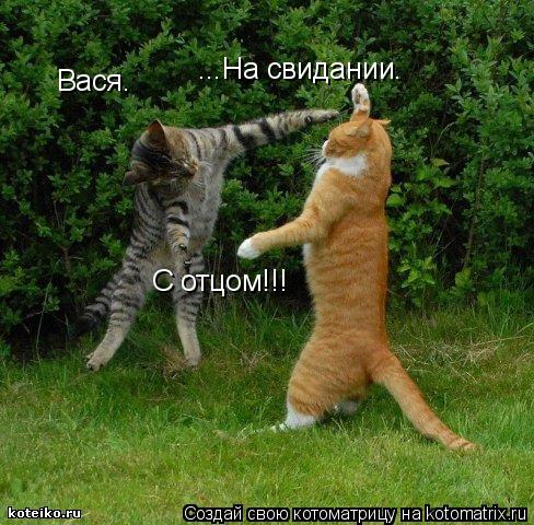 Вася. ...На свидании. С отцом!!!... Котоматрица: Вася. ...На свидании. С отцом!!!