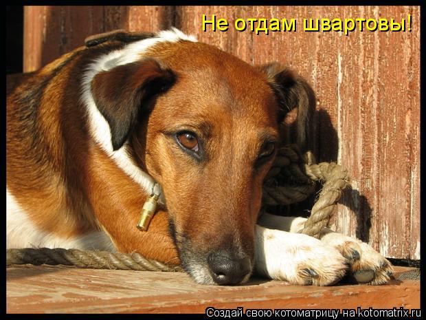 Не отдам швартовы!... Котоматрица: Не отдам швартовы!