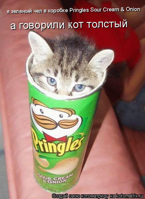 я зеленый чел в коробке Pringles Sour Cream & Onion а говорили кот толстый... Котоматрица: я зеленый чел в коробке Pringles Sour Cream & Onion а говорили кот толстый