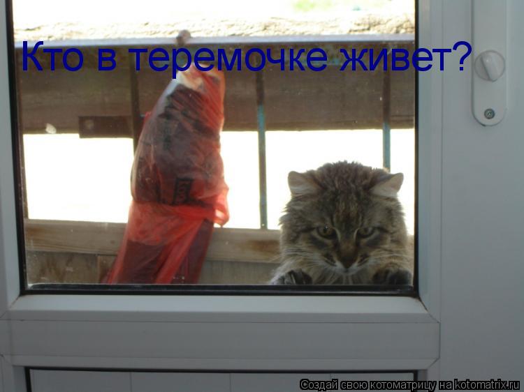 Кто в теремочке живет?... Котоматрица: Кто в теремочке живет?