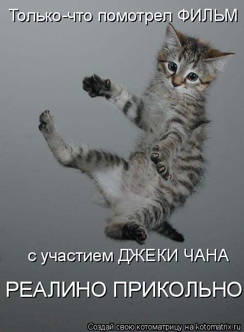 Котоматрица: Только-что помотрел ФИЛЬМ  с участием ДЖЕКИ ЧАНА  РЕАЛИНО ПРИКОЛЬНО!