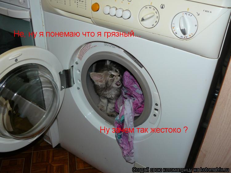 Не, ну я понемаю что я грязный... Ну зачем так жестоко ?... Котоматрица: Не, ну я понемаю что я грязный... Ну зачем так жестоко ?