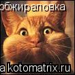 обжираловка... Котоматрица: обжираловка
