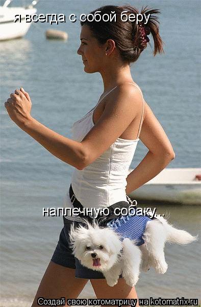 я всегда с собой беру наплечную собаку...... Котоматрица: я всегда с собой беру наплечную собаку...