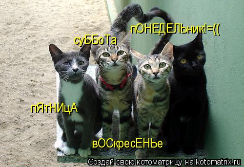 пЯтНИцА суББоТа вОСкресЕНЬе пОНЕДЕЛЬник!=((... Котоматрица: пЯтНИцА суББоТа вОСкресЕНЬе пОНЕДЕЛЬник!=((