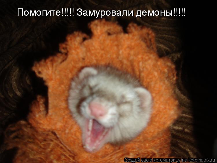 Помогите!!!!! Замуровали демоны!!!!!... Котоматрица: Помогите!!!!! Замуровали демоны!!!!!
