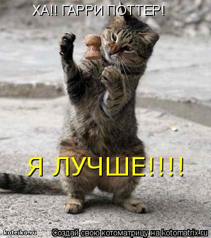 Котоматрица: ХА!! ГАРРИ ПОТТЕР! Я ЛУЧШЕ!!!!