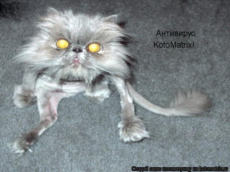 Антивирус KotoMatrix!... Котоматрица: Антивирус KotoMatrix!