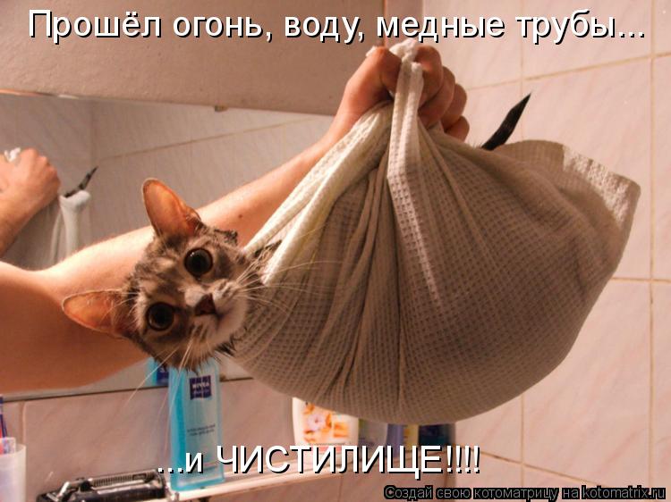 Прошёл огонь, воду, медные трубы... ...и ЧИСТИЛИЩЕ!!!!... Котоматрица: Прошёл огонь, воду, медные трубы... ...и ЧИСТИЛИЩЕ!!!!