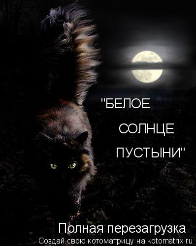 "БЕЛОЕ СОЛНЦЕ ПУСТЫНИ" Полная перезагрузка... Котоматрица: "БЕЛОЕ СОЛНЦЕ ПУСТЫНИ" Полная перезагрузка