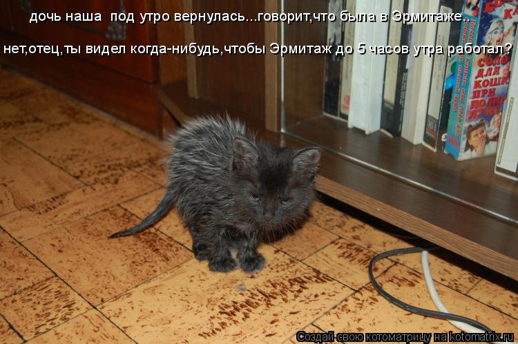 дочь наша под утро вернулась...говорит,что была в Эрмитаже.. нет,отец,ты видел когда-нибудь,чтобы Эр... Котоматрица: дочь наша под утро вернулась...говорит,что была в Эрмитаже.. нет,отец,ты видел когда-нибудь,чтобы Эрмитаж до 5 часов утра работал?