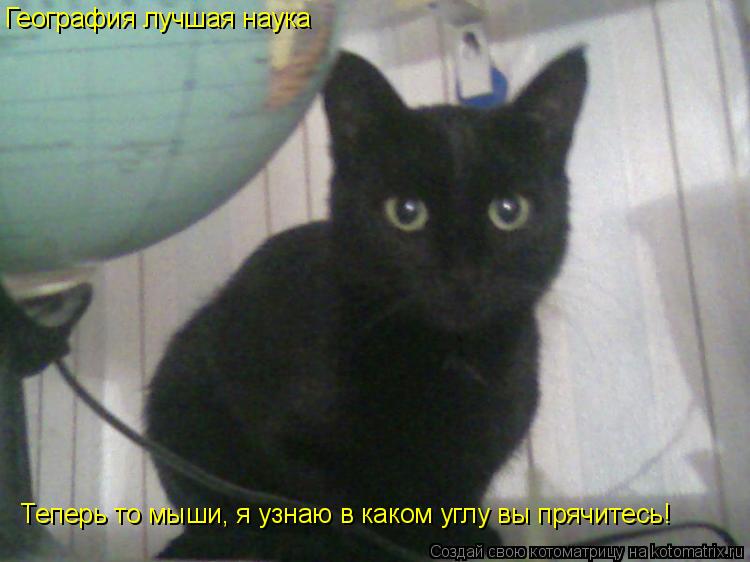 Теперь то мыши, я узнаю в каком углу вы прячитесь! География лучшая наука... Котоматрица: Теперь то мыши, я узнаю в каком углу вы прячитесь! География лучшая наука