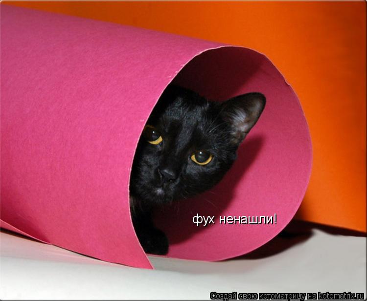 фух ненашли!... Котоматрица: фух ненашли!
