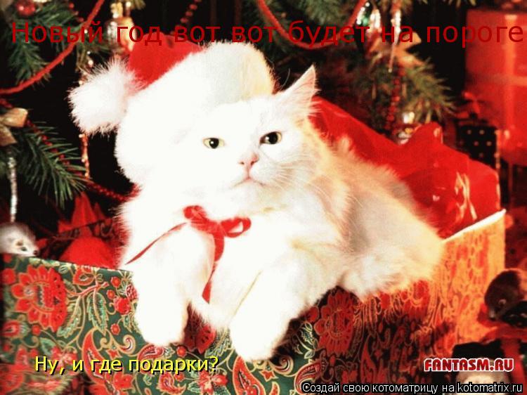 Новый год вот вот будет на пороге... Котоматрица: Новый год вот вот будет на пороге