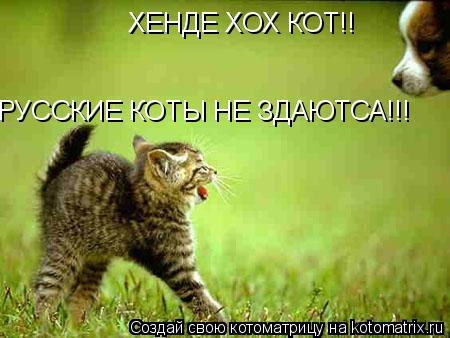 Котоматрица: ХЕНДЕ ХОХ КОТ!! РУССКИЕ КОТЫ НЕ ЗДАЮТСА!!!