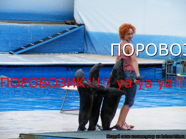 ПОРОВОЗИК!!!!! уа уа уа!!!!!!!!!!! ПОРОВОЗИК!!!!! уа уа уа!!!!!!!!!!!... Котоматрица: ПОРОВОЗИК!!!!! уа уа уа!!!!!!!!!!! ПОРОВОЗИК!!!!! уа уа уа!!!!!!!!!!!