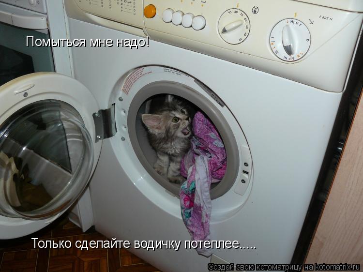 Помыться мне надо! Только сделайте водичку потеплее........ Котоматрица: Помыться мне надо! Только сделайте водичку потеплее.....