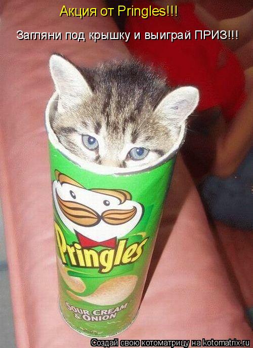 Акция от Pringles!!! Загляни под крышку и выиграй ПРИЗ!!!... Котоматрица: Акция от Pringles!!! Загляни под крышку и выиграй ПРИЗ!!!