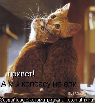 Котоматрица: привет! А мы колбасу не ели!