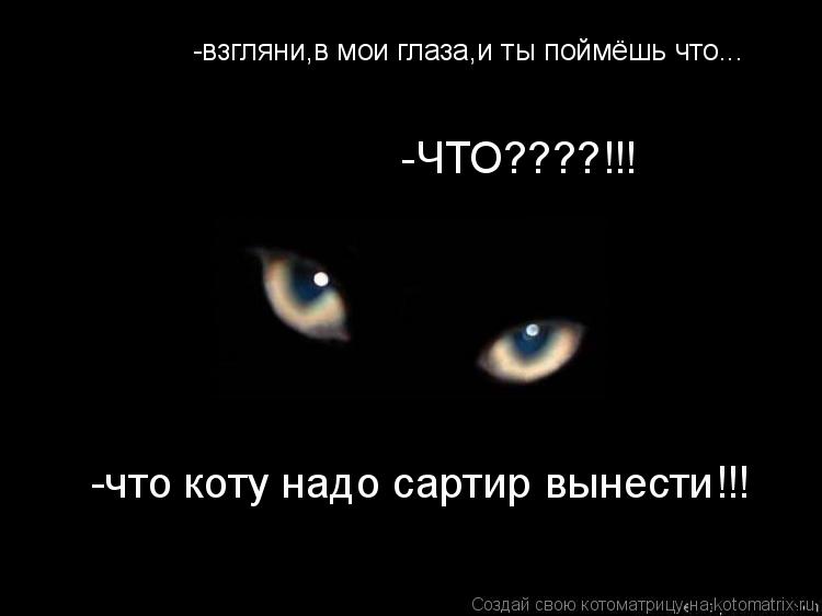 -взгляни,в мои глаза,и ты поймёшь что... -ЧТО????!!! -что коту надо сартир вынести!!!... Котоматрица: -взгляни,в мои глаза,и ты поймёшь что... -ЧТО????!!! -что коту надо сартир вынести!!!