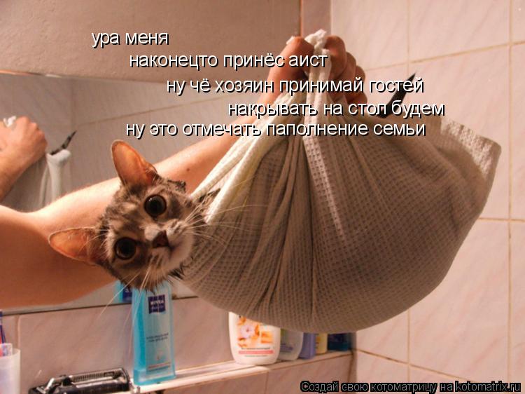 ура меня наконецто принёс аист ну чё хозяин принимай гостей накрывать на стол будем ну это отмечать... Котоматрица: ура меня наконецто принёс аист ну чё хозяин принимай гостей накрывать на стол будем ну это отмечать паполнение семьи