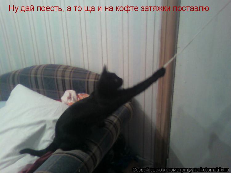 Ну дай поесть, а то ща и на кофте затяжки поставлю... Котоматрица: Ну дай поесть, а то ща и на кофте затяжки поставлю
