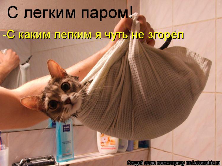С легким паром! С легким паром! -С каким легким я чуть не згорел... Котоматрица: С легким паром! С легким паром! -С каким легким я чуть не згорел