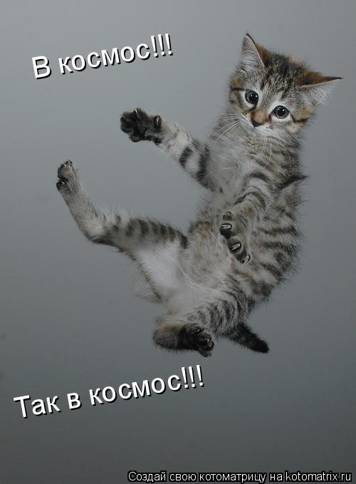 В космос!!! Так в космос!!!... Котоматрица: В космос!!! Так в космос!!!