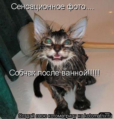 Сенсационное фото.... Собчак после ванной!!!!!... Котоматрица: Сенсационное фото.... Собчак после ванной!!!!!