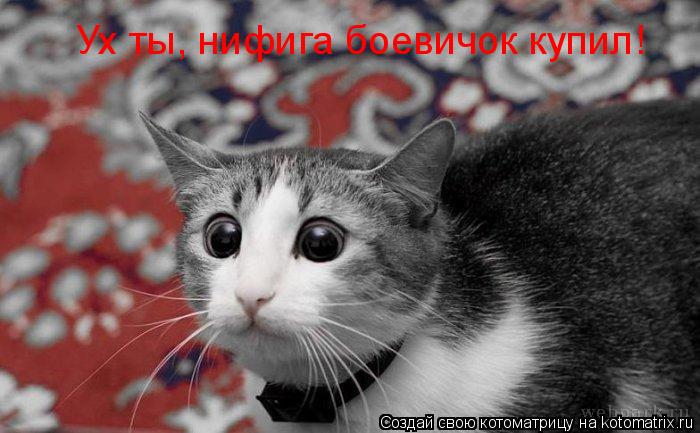 Ух ты, нифига боевичок купил!... Котоматрица: Ух ты, нифига боевичок купил!
