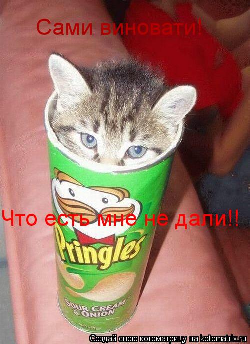 Котоматрица: Сами виновати! Что есть мне не дали!!