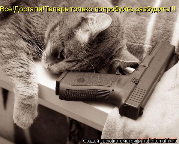 Всё!Достали!Теперь только попробуйте разбудить!!!... Котоматрица: Всё!Достали!Теперь только попробуйте разбудить!!!